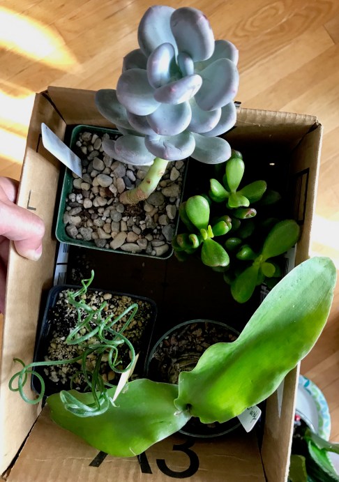 FullSizeRender.jpg-16