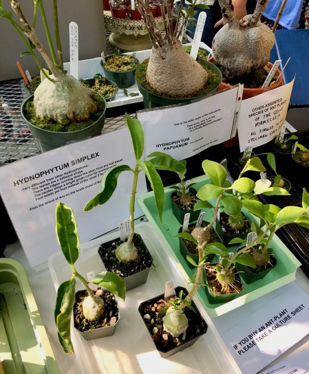 FullSizeRender.jpg-19 copy