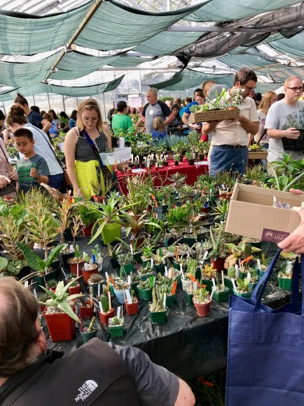 FullSizeRender.jpg-9